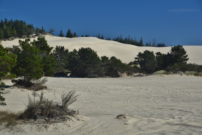 sand dunes for ATVs